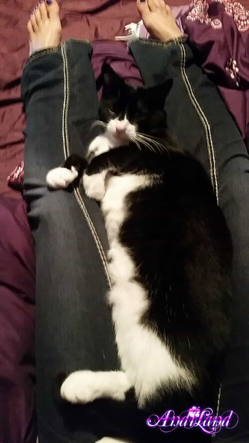 603 99 lgac6a2490e73aba3d