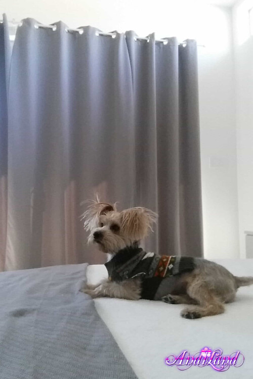 609-60-lgd6694586a370fd12.jpeg