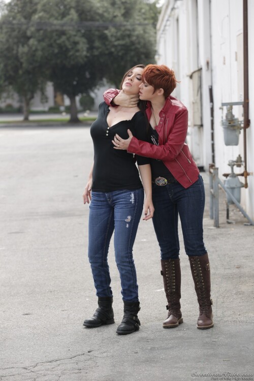 62078 007fdea7a721cc49545