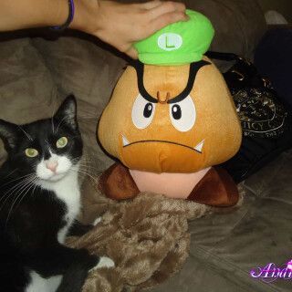 63-06-lgd1c23b75793cdcb0