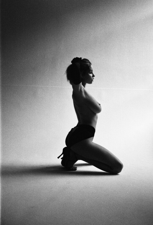 63A3596E 672D 4DF2 955B 7BC1B2CC17E0ff66210dd024c306