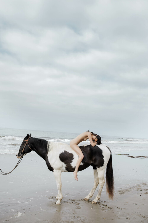 63C6E7FE 8F95 416B AA53 E39708B6D4DA