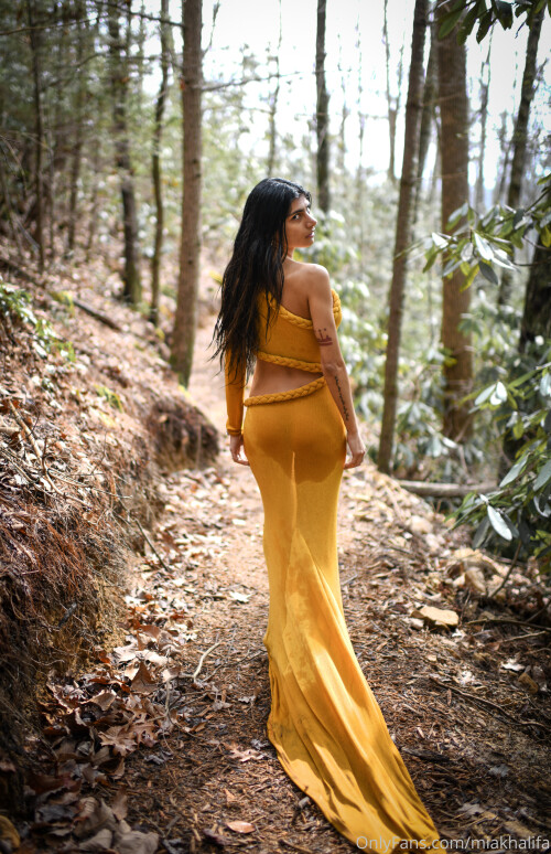 63f0576c 430d 4ae5 88e5 6c2b146743785df28e2386fa1858