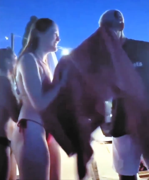 66668da563775cb2e5e4