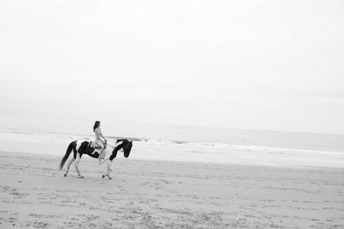 67594E10 8D4A 4934 8497 3CA9771DFEBB