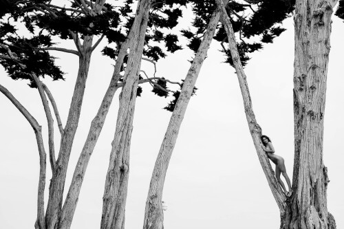 6CD4048C 0470 4E36 AC55 E03458B8DD0A