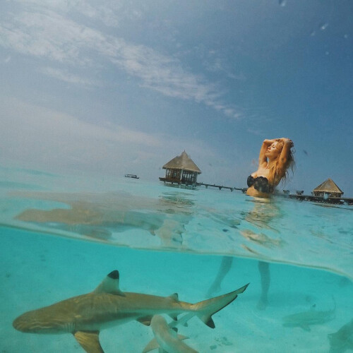 6T1GiSQ7aaE81e091c240ffe62a