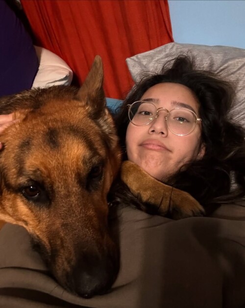 6netflixca netflixtudumfeeaec79670eee5b