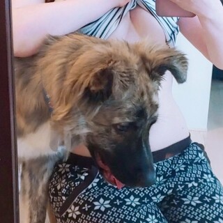 750x1162_993878fa8609d65239b40881c0fee16d