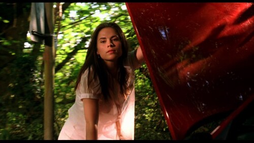 754003779c4fad2228c2edf12