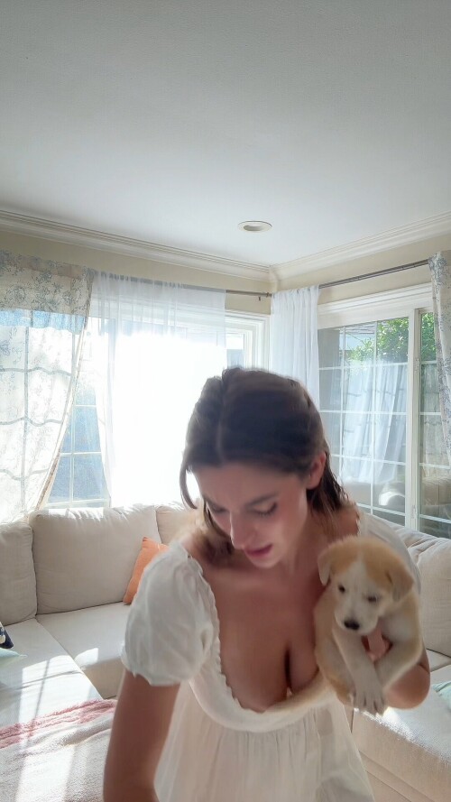 7542703479588982046 original427b04f2e3b71cc84