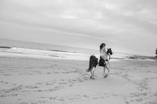 777A639E 62B9 4C87 8F91 901751B1C8CC