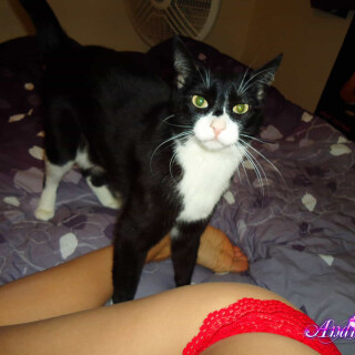 78-07-lg58f0c2cd4ac5816a