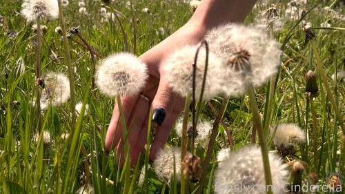 78920295792405299208419257d084616f