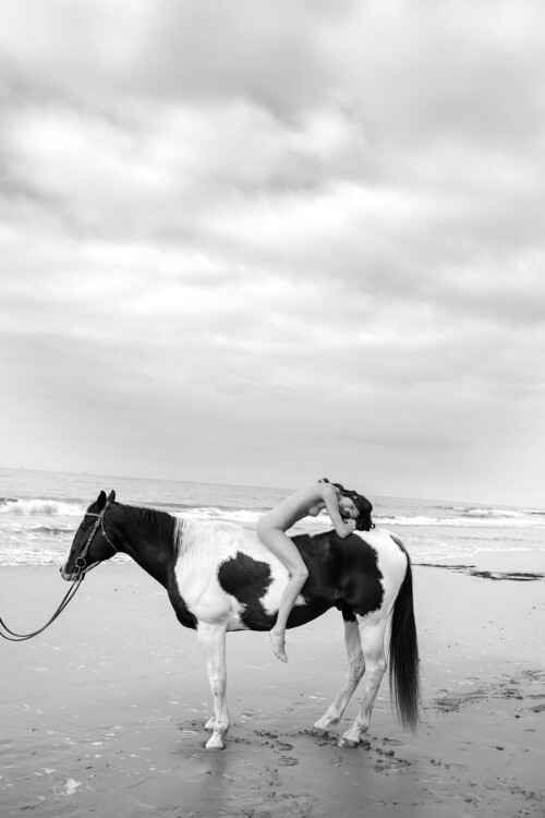 7B892C53 E504 4E1C 9BDA 40CF0CC77305