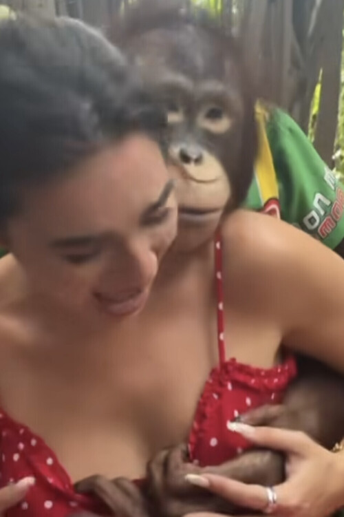 7DF70054 CA4B 4914 9ED3 2AE5EBF4584Edab6a9aee2f7dd4f