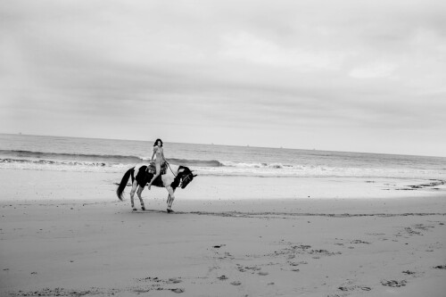 7F9A61B9 2712 4D5B B4C2 95F4AE738799