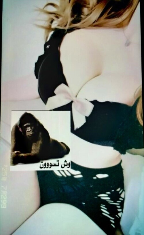 7dee3a09 f7c9 4eea 9eb0 fbbfba7792563f195b1d4a58b991