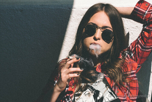 800x534 04aba9305b731b1b2ff3be175551dd47