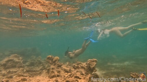 808017325096714243a0cf1b5532b8a740