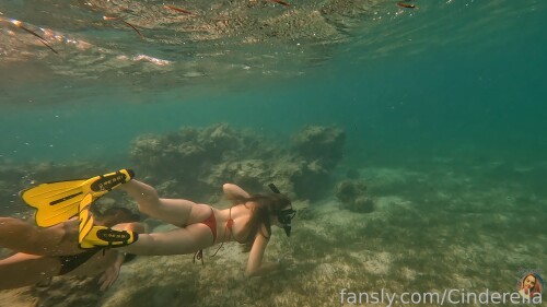 808017325243514880a888b6e671ff7677