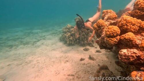 808017329538482176ad7d7df1adf25111