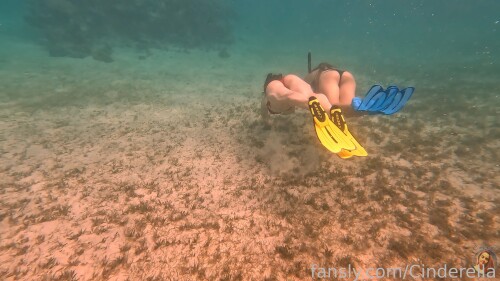 808017330398314497fb3a8f5bd7b57973