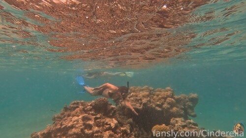 8080173456571965442eabce0c799729a0