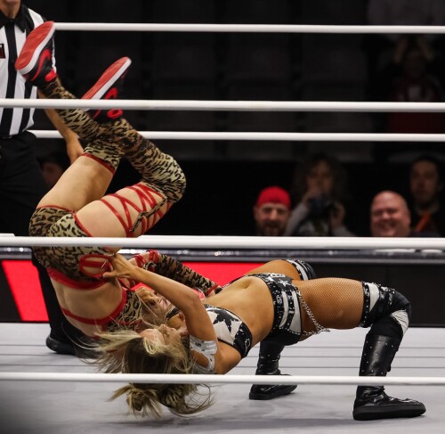 815952_3d92cb32c83740899a3482f84aced4a0mv257df7ab0b3e54885