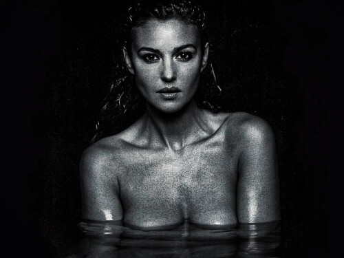 8433327c6d6793fd48d7813