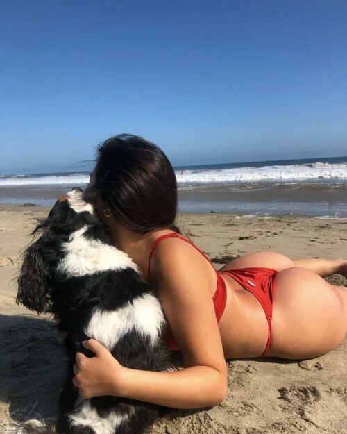 84C4C6B6 9BF6 44F7 AFE2 5A6D7830BC2A