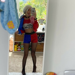 85_Harley_Quinn_8519dffdc8d9c22d50