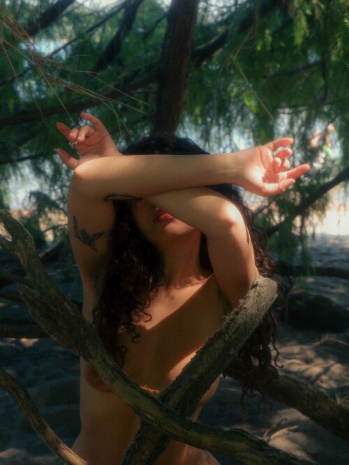 861F04BE 55F2 40D0 85CF 9A6737630B22