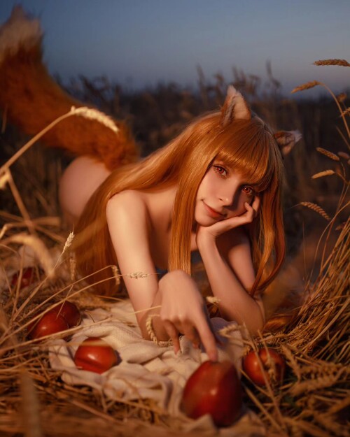 87790619536ca8b271217c353