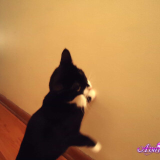 88-19-lgcf3a3b3f866fe07d