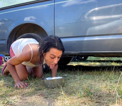 885x768 876014c8165a60597ece9ee6480703a491c5d3f58af776cc