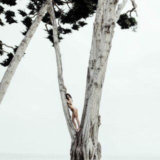 88808650_1019214233102_27_028982caea228ebc4a1