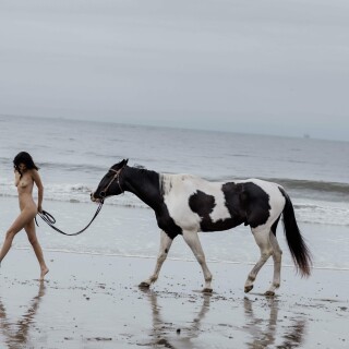 88808661_1019214233102_38_039d6e187aacac4ac3c