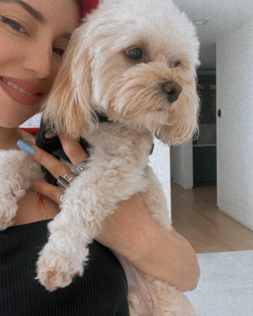 8A3A1535 21C3 47BC A0CC 009C993A4FFF