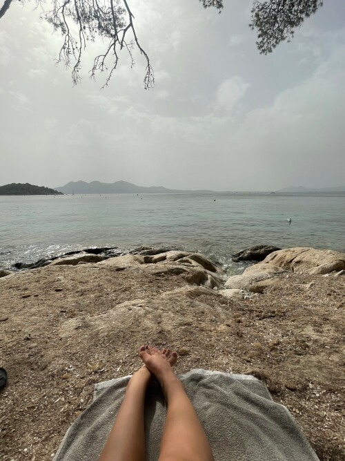 8B3C9638 F93A 4D76 9F70 A520C527643272bef51784f61f64