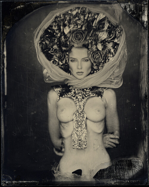 8e42fbac 8b06 418f 946a 917718354d609a6752eed7d260ff