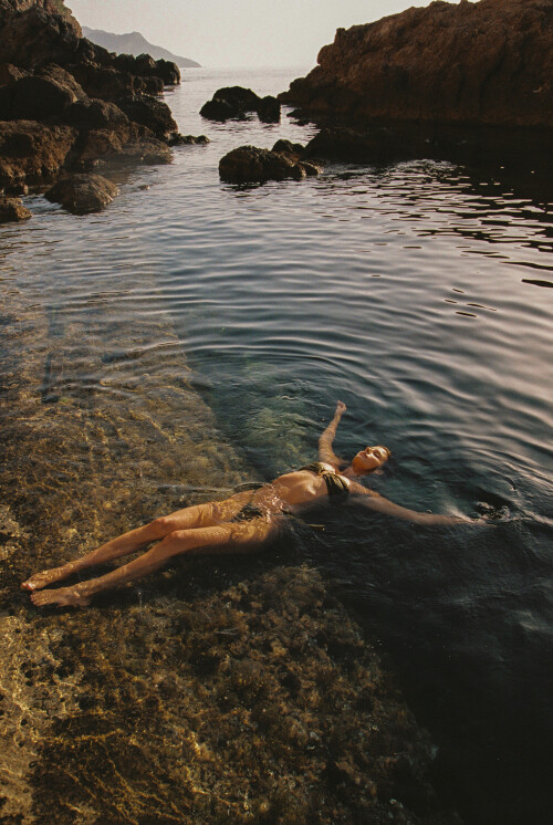 8fb43f dddf12c14459443a98d029c515a1bd57mv22d276f13b5c15a88