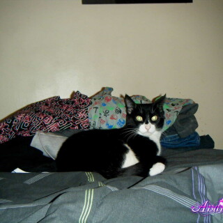 9-26-lg272826f2f220db40