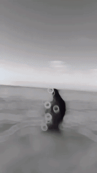 92D2EEC0-D639-4D9D-B10C-AFBBA4839643