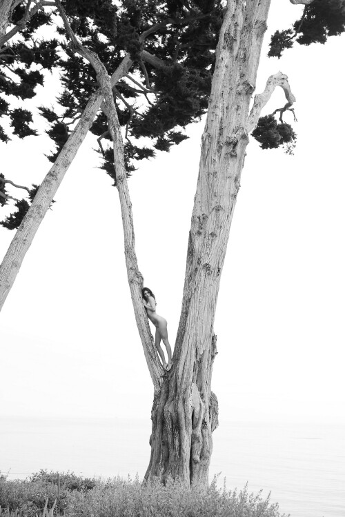 92D36A00 4F9F 4DA9 955A D69E8A6A9E98