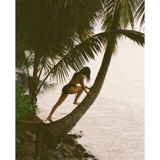 92a80b_0de2b09b2504407cb5314b2cac7b53e2mv2aed1b7b5d446b63b