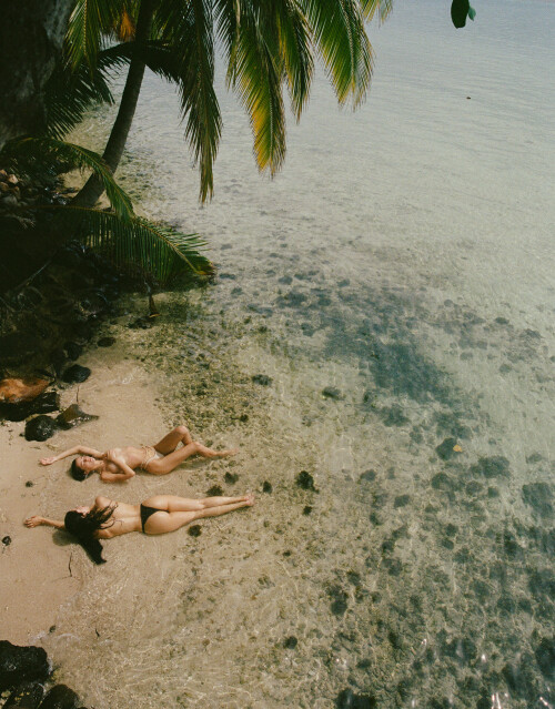 92a80b 76b161de816a4ccc837e55ded9035af3mv2498ec0266ffc71e5