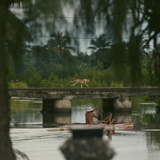 92a80b_cf41c433360d414e93162273d735360amv23d519f2ea6137579