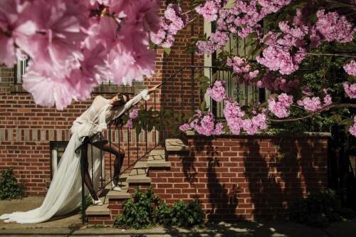 93674e68477b12ce0b6df2b4f478304538eca695df1b264d