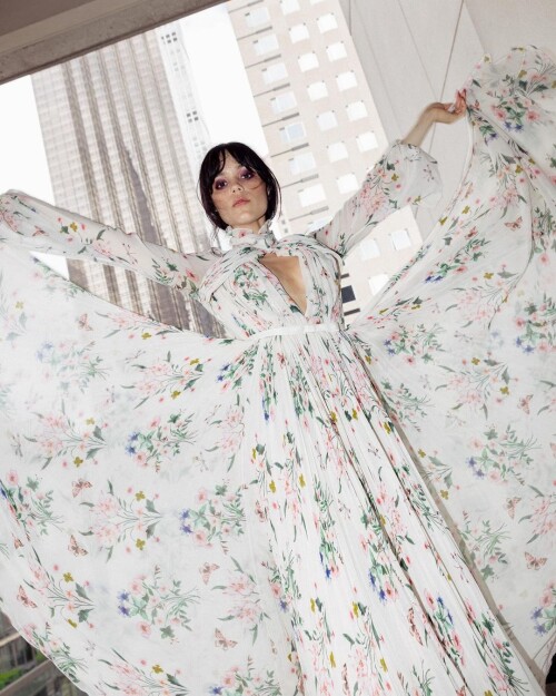 937355029d68fba8b33a5bba8